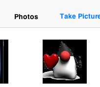 Image Viewer From The Web
